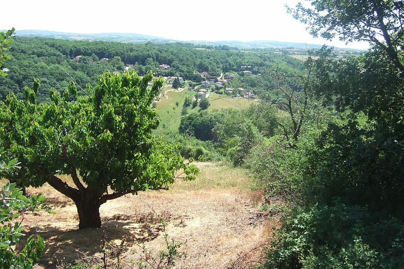 2011-05- (369).JPG